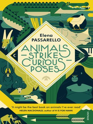 cover image of Animals Strike Curious Poses